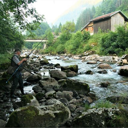 Développement durable