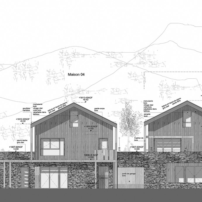 Projet logements en mixite a Entremont